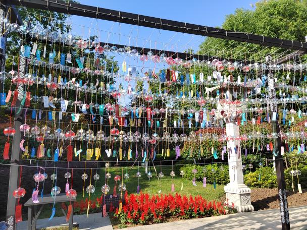 3AF92A2C9C560E74BCC55D10F3DBD863