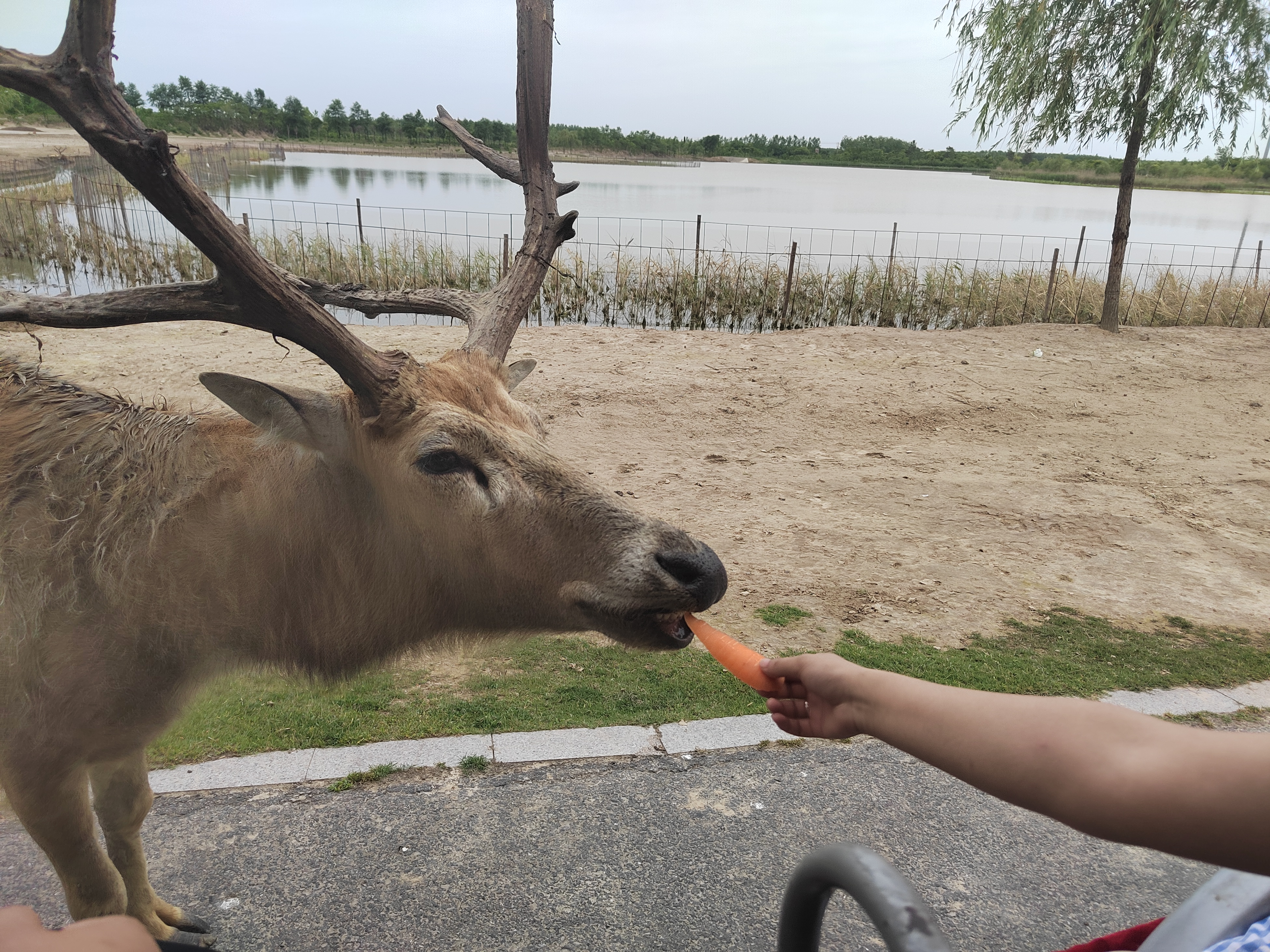 微信图片_20240607180424