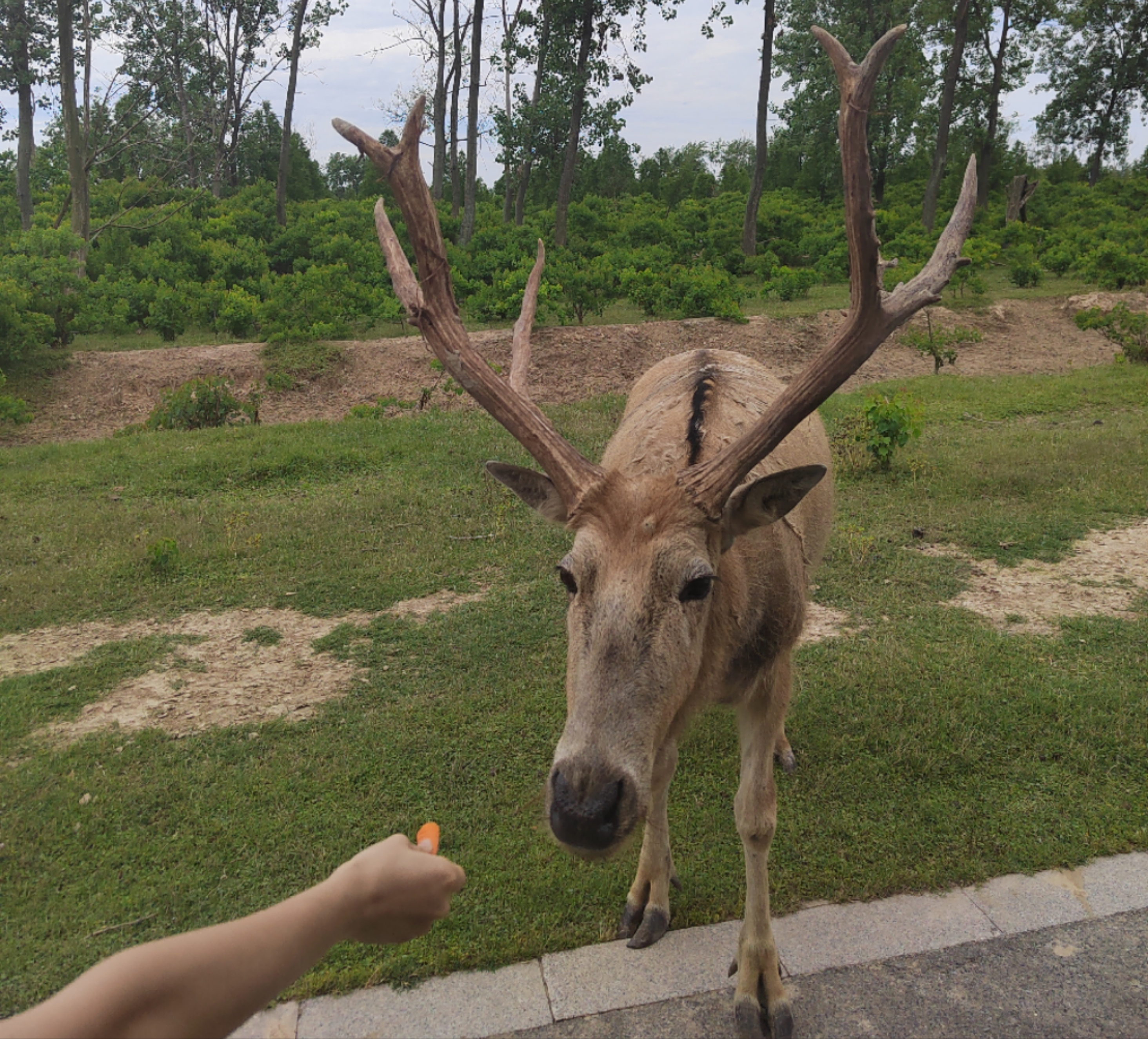 微信图片_20240607180644