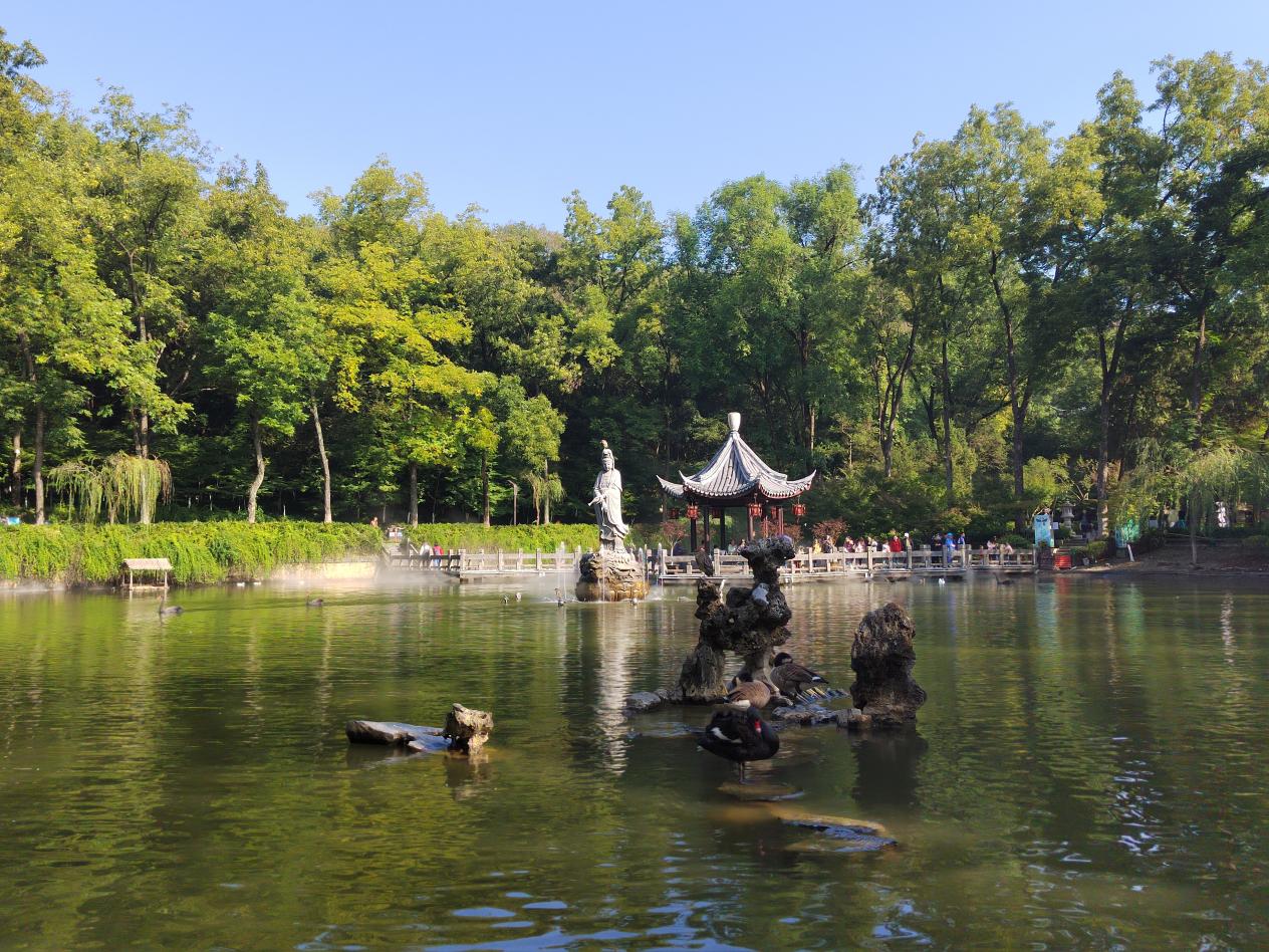 46B1DF9F52ED492770C841D5BBC099EB