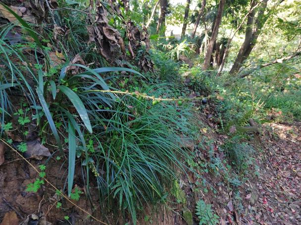 97FB3A38FB4F2108C483D6D1CB2E3BD2