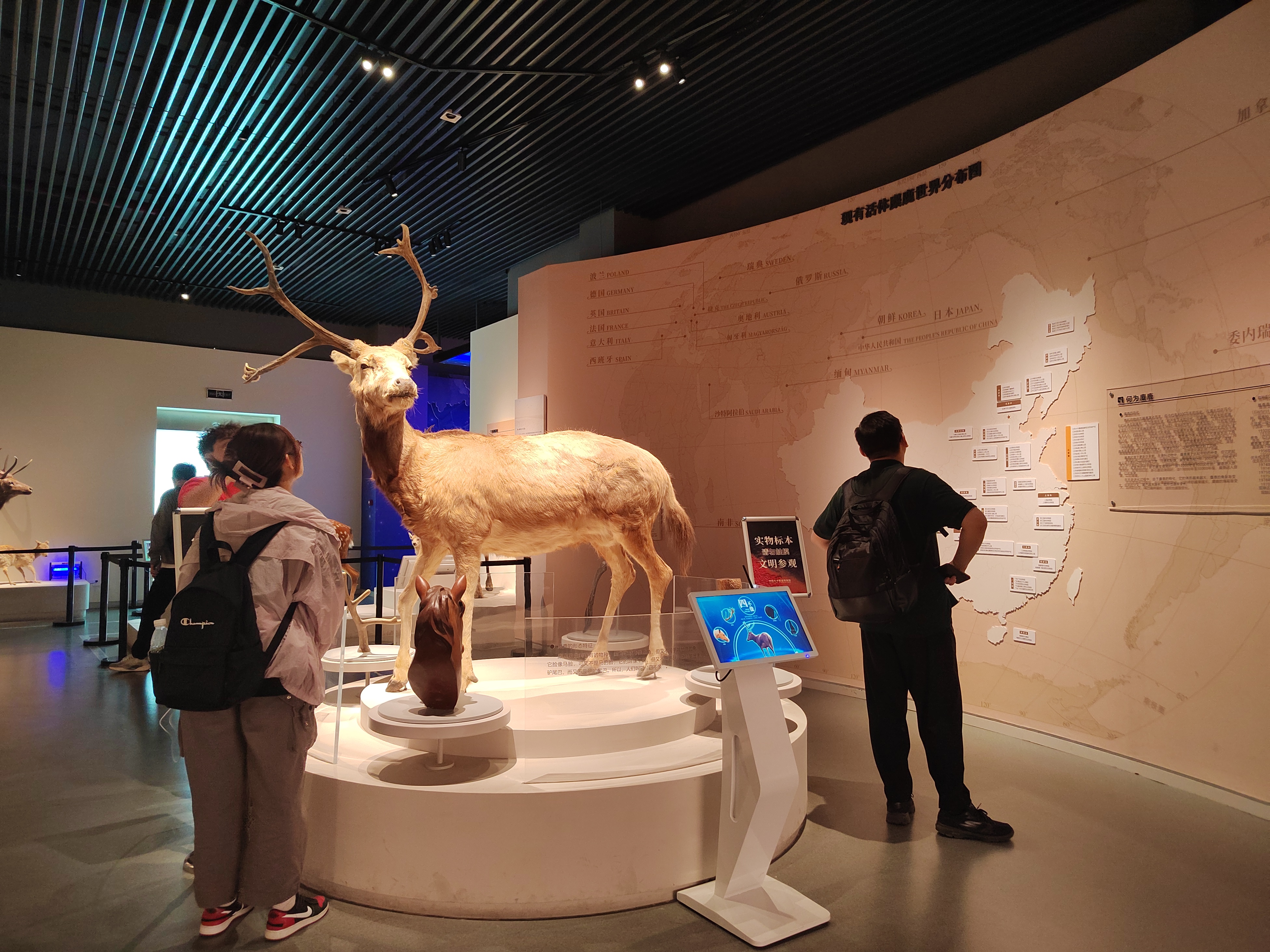 微信图片_20240607180442