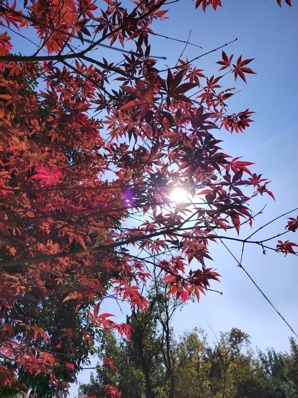 B530C059EE9C087A395B7158C96E6C2D