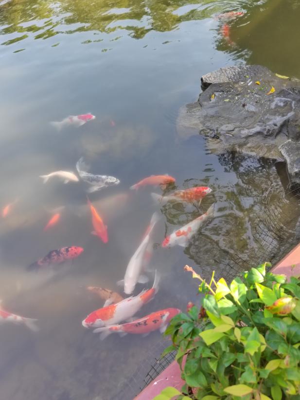 9E80A79C3BC727B0BBCCAC3CB3C9939D