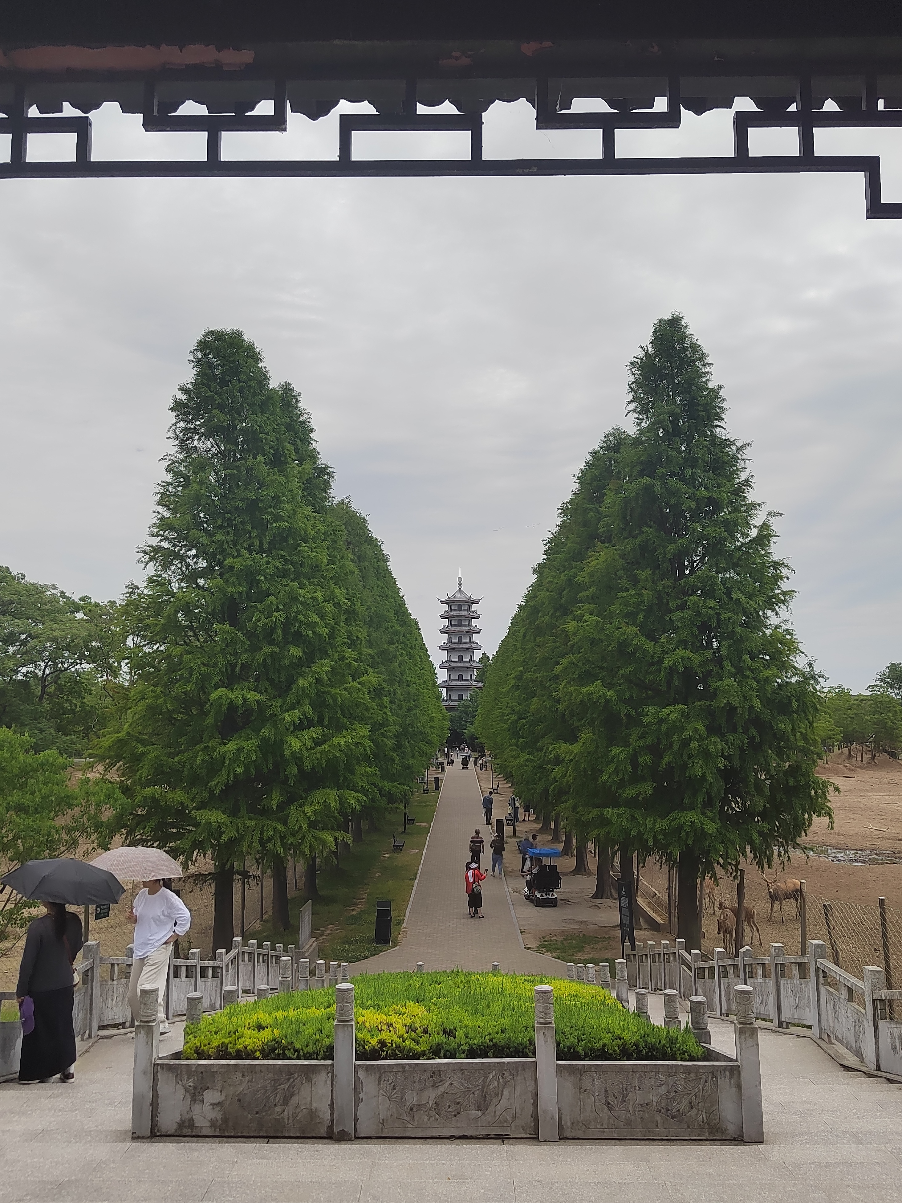 微信图片_20240607190105